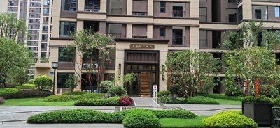 政府办公大楼门前广场绿化改造提升工程